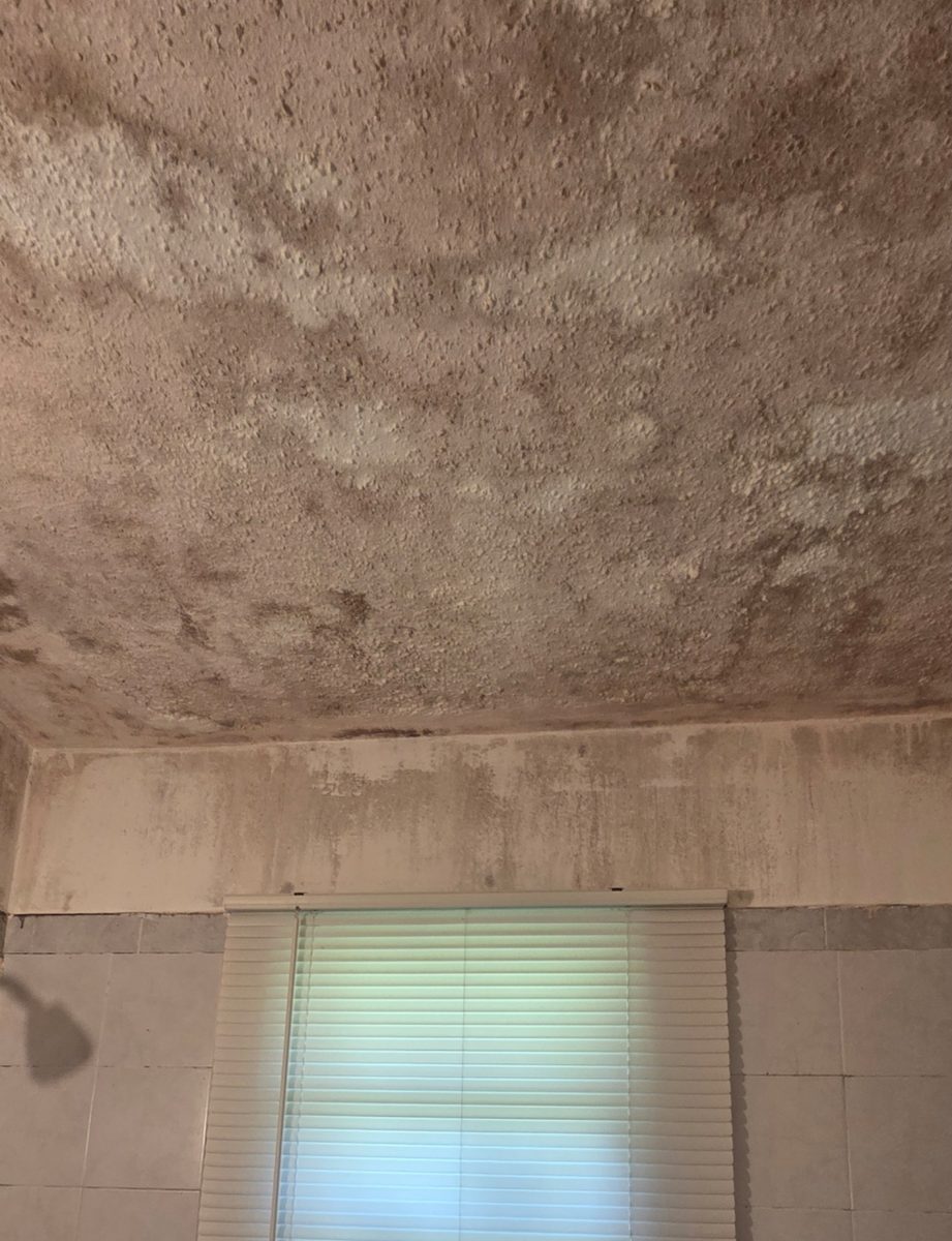 Before: Bathroom ceiling and upper wall badly stained and discolored